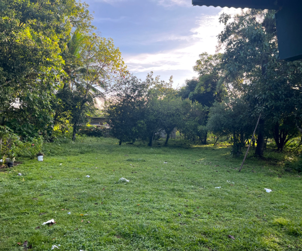 Main Property Image