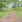 Thumbnail 16