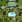 Thumbnail 20