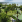 Thumbnail 16