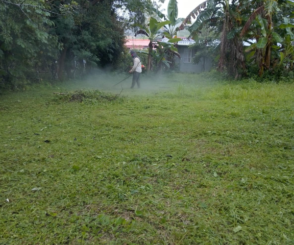 Main Property Image