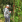Thumbnail 17