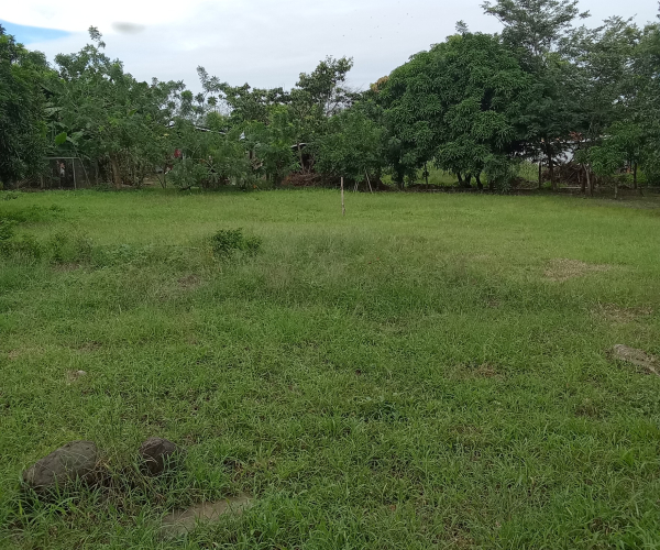 Main Property Image