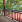 Thumbnail 16