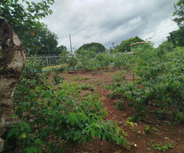 Main Property Image
