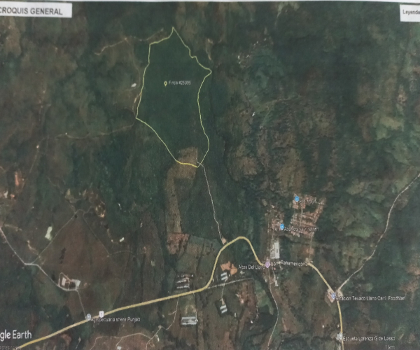 Main Property Image
