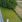 Thumbnail 19