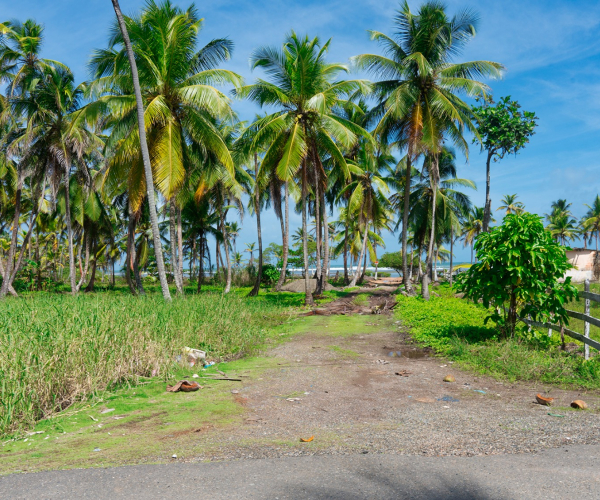 Main Property Image