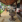 Thumbnail 20