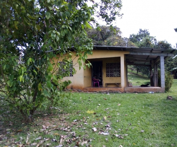 Main Property Image