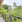 Thumbnail 31