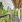 Thumbnail 34