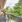 Thumbnail 32