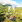 Thumbnail 20