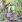 Thumbnail 19