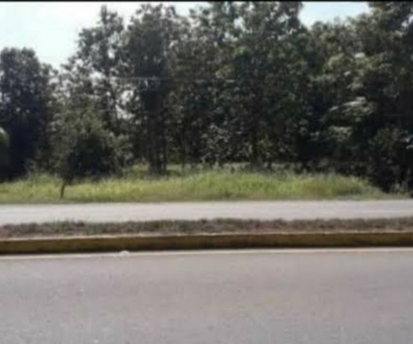 Main Property Image