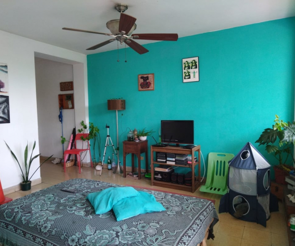 Main Property Image