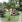 Thumbnail 20