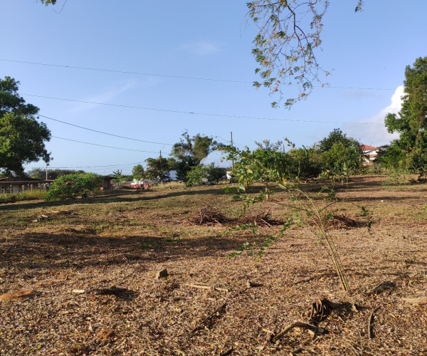 Main Property Image