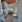 Thumbnail 17