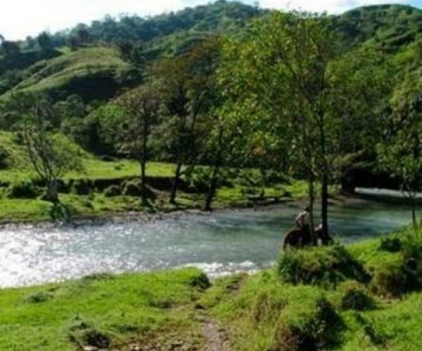Main Property Image