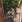 Thumbnail 19