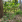 Thumbnail 24