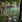 Thumbnail 21