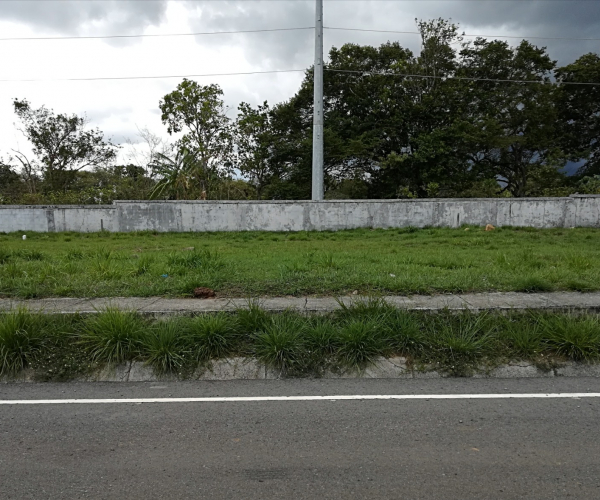 Main Property Image