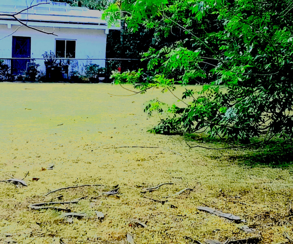 Main Property Image
