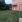 Thumbnail 16