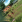 Thumbnail 19