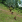 Thumbnail 21