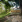 Thumbnail 41