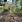 Thumbnail 54