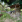 Thumbnail 48