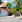 Thumbnail 20