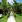 Thumbnail 22